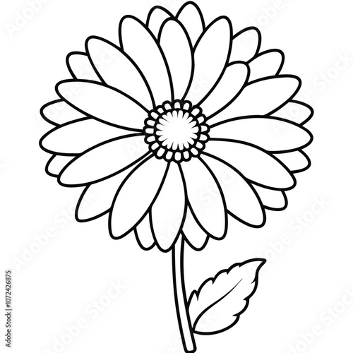 Design icons vector illustration of a flower (chamomile, gerbera, aster).