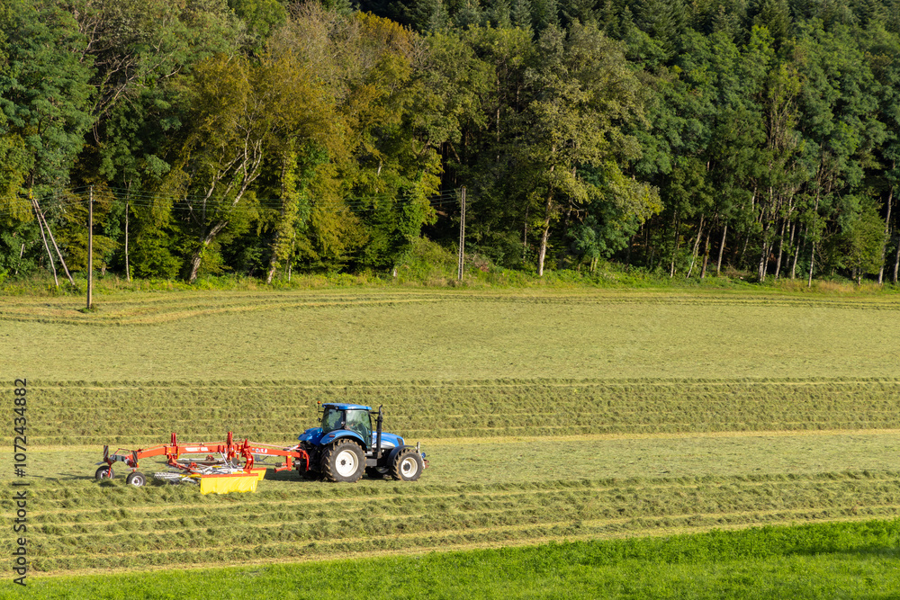 Tractor turning hay in spring meadow, Jura, France Tractor turning hay in spring meadow, Jura, France