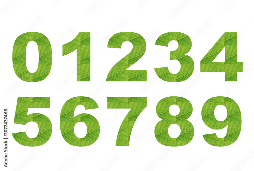 Collection of numbers 0-9. With fresh textured green leaves that fulfill its character. Zero to nine numbers. Collection of numbers 0-9. With fresh textured green leaves that fulfill its character. Zero to nine numbers.