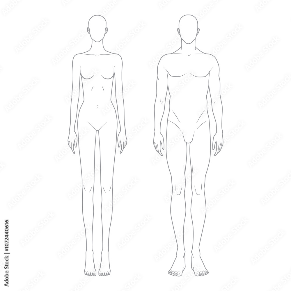 Front view anatomical outlines of male and female bodies, vector illustration for fashion design and anatomy reference.
Front view anatomical outlines of male and female bodies, vector illustration for fashion design and anatomy reference.