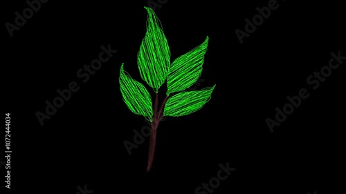 Beautiful Scribble plants Grow Motion Design On Black Background.  Scribble pants Grow Animation. plants  Elements Grow Animation On Alpha Channel.