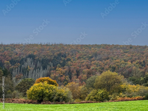 autumn landscape on a sunny day