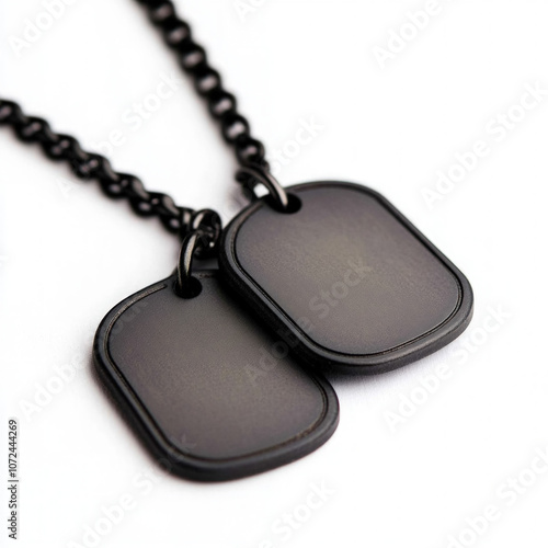 Dog Tags Isolated