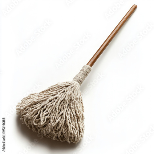Mop Isolated