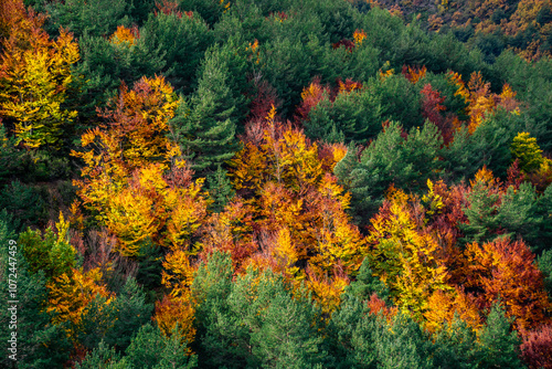 Light trees