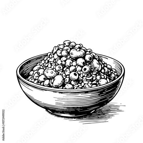 Bowl of Berries Black and White Hand-Drawn Illustration