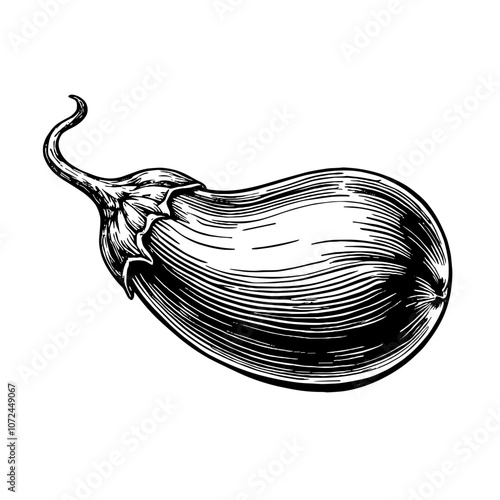 Roasted eggplant black and white ink illustration culinary art