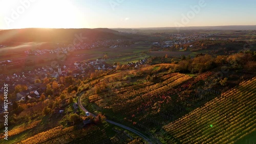 Aerial footage of reverse flight over beautiful autumnal vineyard and small town in Southern Germany at sunset