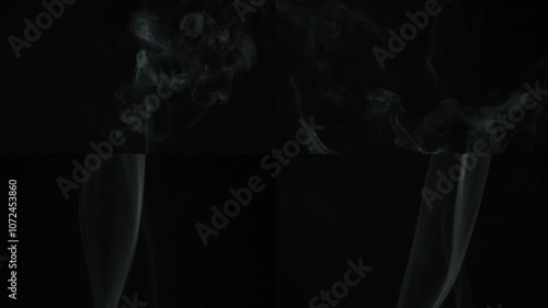 Collection of various smoke on a black background