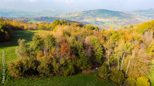 Vista aerea dei coloratissimi boschi e prati dell'Appennino modenese durante una soleggiata giornata d'autunno