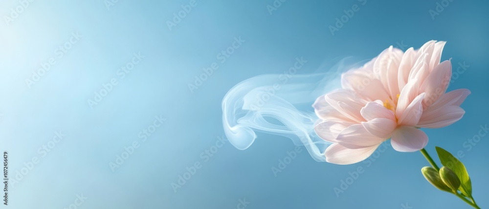 A pink flower with smoke coming out of it on a blue background A pink flower with smoke coming out of it on a blue background