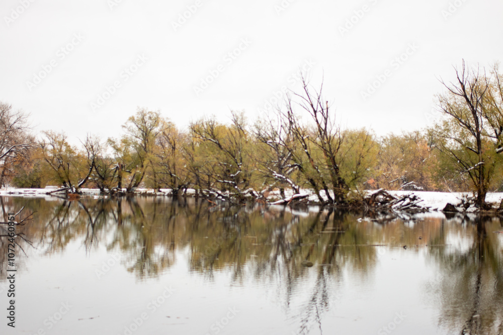 reflections on the river reflections on the river
