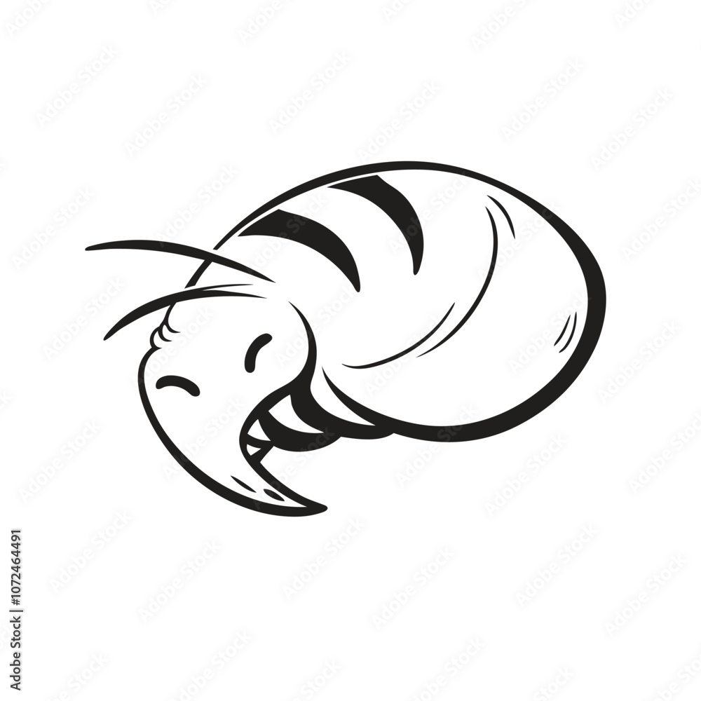 Fototapeta premium Seashell Spiral Macro