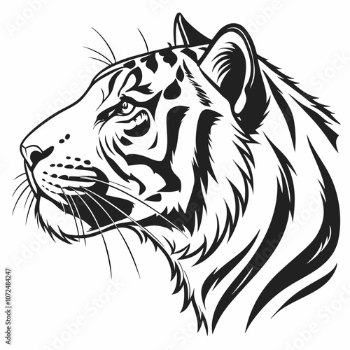tiger head vector