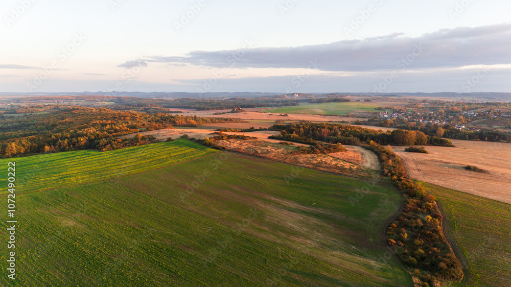Naklejka premium Kraków-Częstochowa Upland, autumn fields sown with catch crops, just before sunset, full of autumn golden hues and colors, top view from a drone.