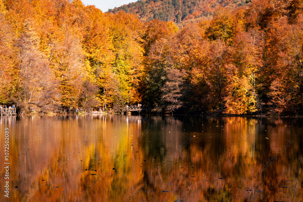Orange and yellow trees with reflections on the lake. Vibrant autumn colors in a scenic lakeside view. Orange and yellow trees with reflections on the lake. Vibrant autumn colors in a scenic lakeside view.