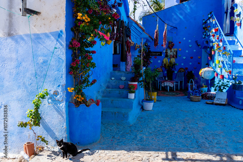 The view outside a small restaurant in Chefchaouen, Morocco
Chefchaouen is a small city referred to as the “blue city”
