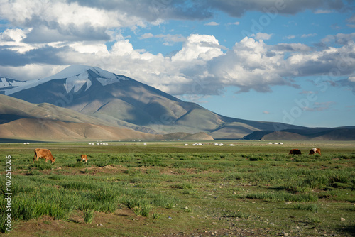 View of the Mongolian Altai mountain and a great bear valley, heart lake. Altai Tavan Bogd National park, Mongolia.