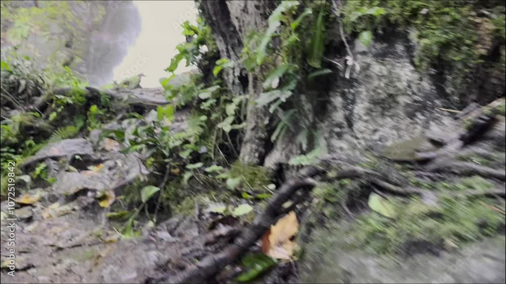 A CloseUp View of Natural Rocky Terrain Featuring Leaves and Moisture Reflecting Nature A CloseUp View of Natural Rocky Terrain Featuring Leaves and Moisture Reflecting Nature