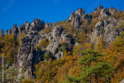 Golden autumn in the forest and mountains along the Donau river in Austria. Wachau region, Vogelberg mountain in the autumn season with yellow and orange leaves on the trees. Yellow leaf on october