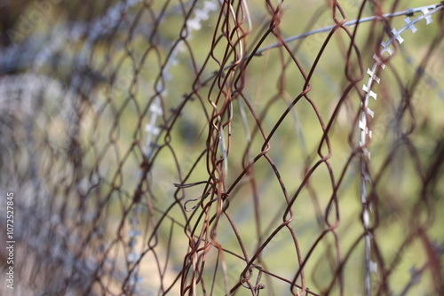 Barrier of Time: Rusted Wire Fence with Razor Wire