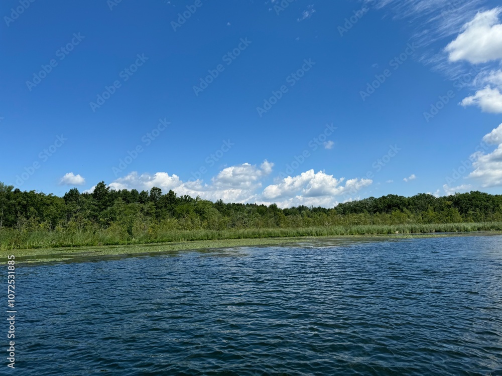 Quiet cove along the creek