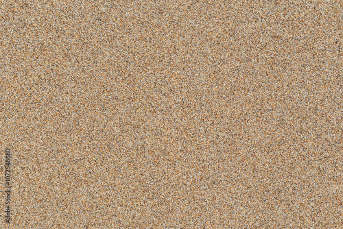 Smooth untouched fine sand on a beach on a sunny day, viewed from above. Abstract textured natural sandy background, top view. Copy space.