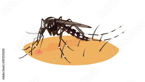 Mosquito Bite Vector Design – Insect Bite Illustration for Medical and Educational Use