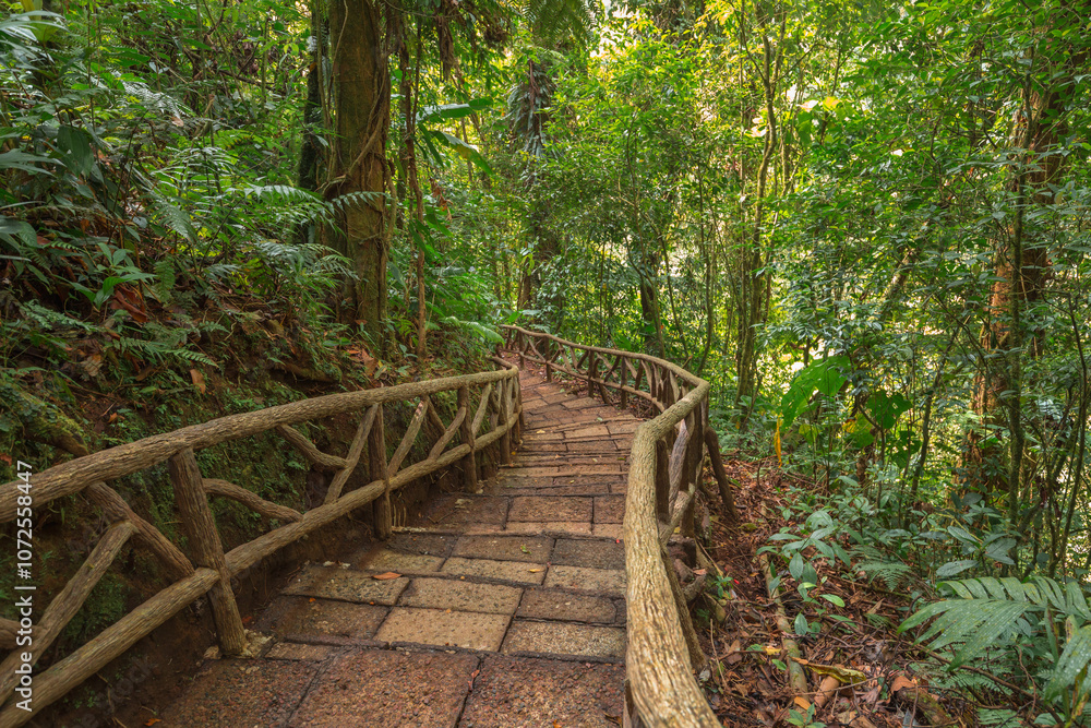 The walking path in the La Paz Waterfall Gardens Nature Park - Costa Rica The walking path in the La Paz Waterfall Gardens Nature Park - Costa Rica