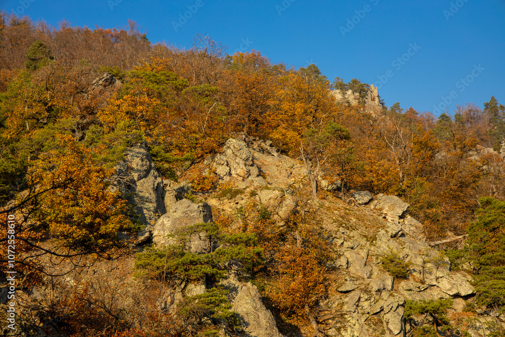 Golden autumn in the forest and mountains along the Donau river in Austria. Wachau region, Vogelberg mountain in the autumn season with yellow and orange leaves on the trees. Yellow leaf on october Golden autumn in the forest and mountains along the Donau river in Austria. Wachau region, Vogelberg mountain in the autumn season with yellow and orange leaves on the trees. Yellow leaf on october