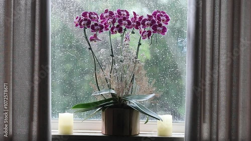 Relaxing video of soft rain on window glass with orchid vase and Christmas candles