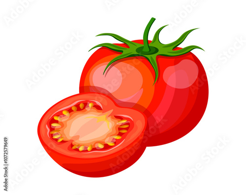Set of fresh tomatoes in cartoon style. Vector illustration of delicious red tomatoes, whole and halves, with green stem, seeds isolated on white background. Useful vegetables.