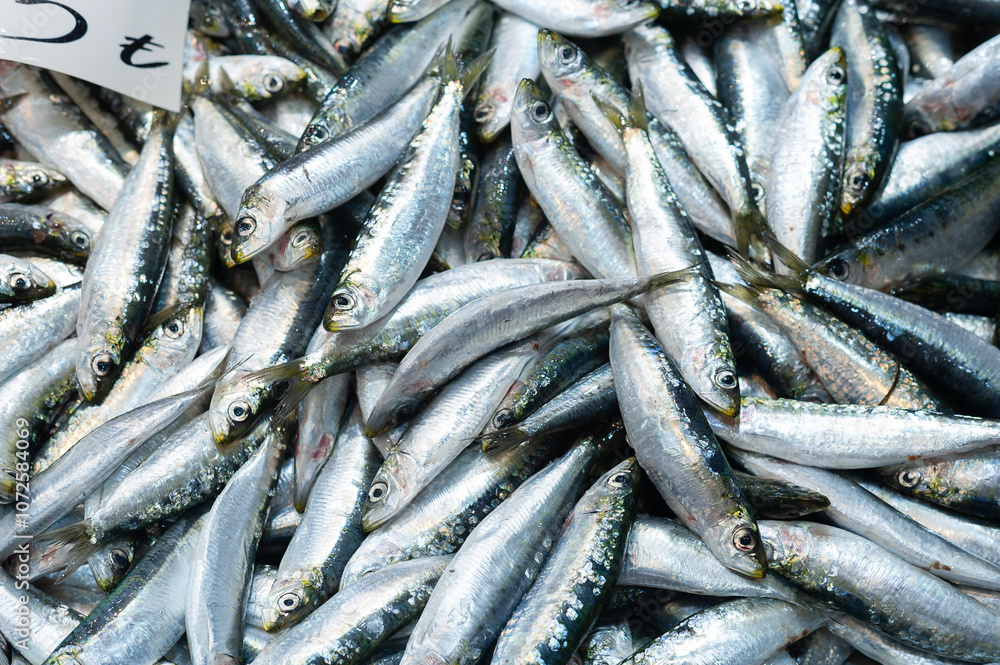 Fresh sardines also called istavrit at a local fish market stall in Istanbul Fresh sardines also called istavrit at a local fish market stall in Istanbul