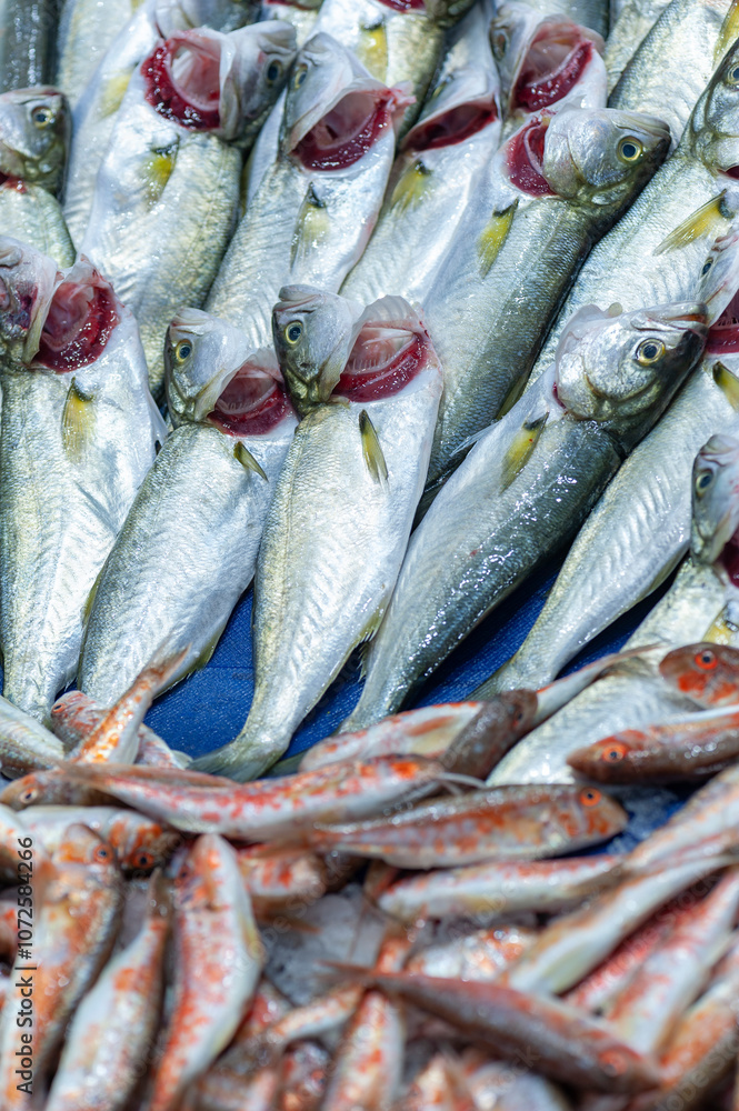 Obraz premium Fresh bonito, blue fish, lufer and red mullet at a stall in local fish market in Istanbul, Turkey