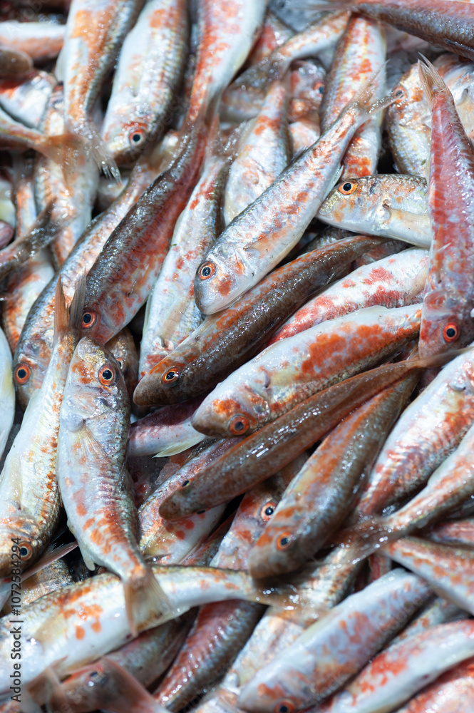 Fresh red mullets also called barbun at a local fish market stall in Istanbul Fresh red mullets also called barbun at a local fish market stall in Istanbul