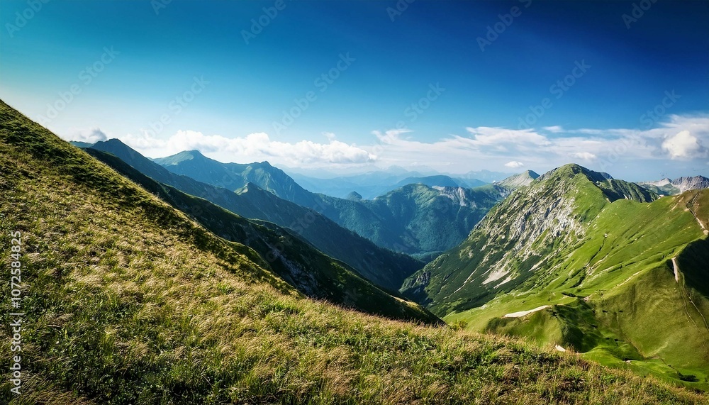 Obraz premium panorama of the mountains in the summer
