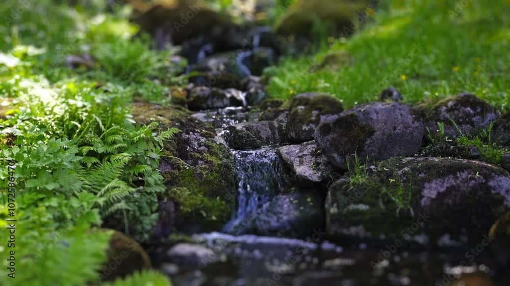 Stream of water flows through the rocks in the forest. Stream of water flows through the rocks in the forest.