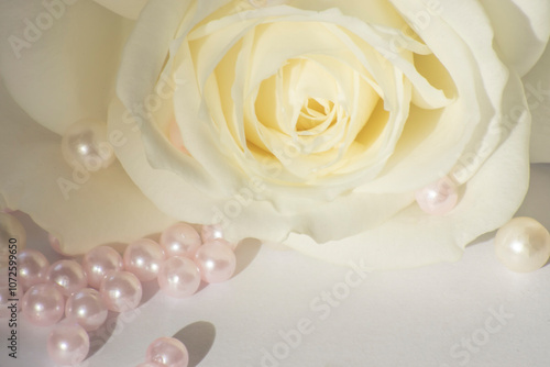 white pink soft pearl near rose on white background with pearls