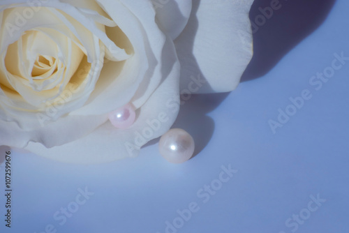 a white pearl in a white flower on a blue background