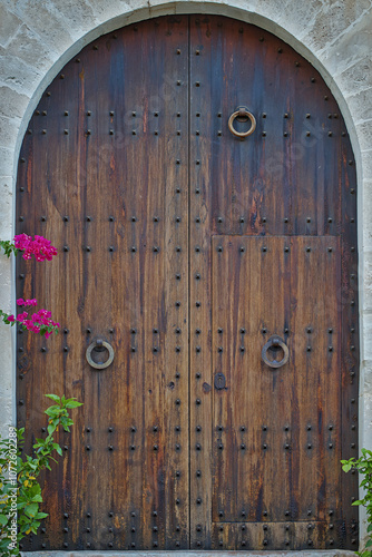 A beautiful large wooden door with some flowers in the foreground