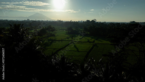 Top view of the mountain and rice fields in the morning