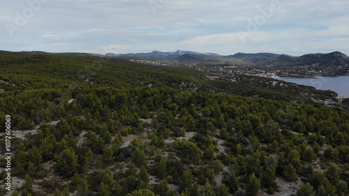 AERIAL VIEW - The Calanques National Park is a French national park located on the Mediterranean coast in Bouches-du-Rhône, Southern France. Calanque D'en-Vau near Cassis.