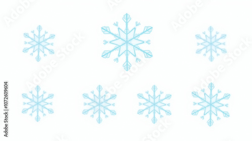 Snowflake Set on White Background