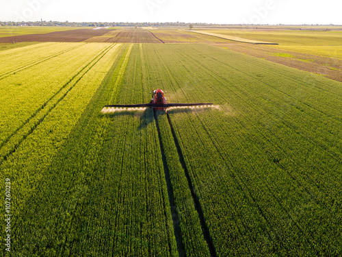 Quadro em tela Drone shot of a red tractor fertilizing a lush green wheat field under the golde