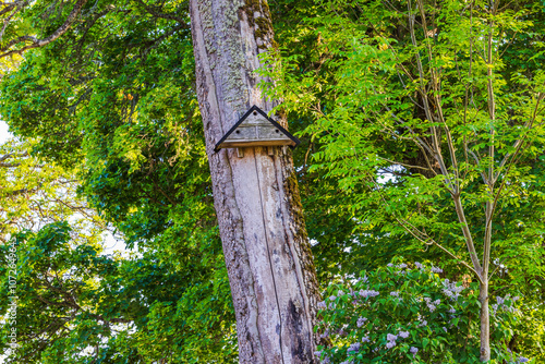 Close-up of wooden birdhouse attached to tree trunk surrounded by vibrant green leaves. Sweden. photo