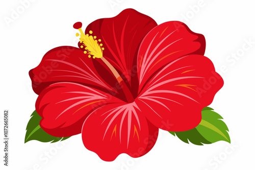 Flower red hibiscus isolated on white background vector art illustration