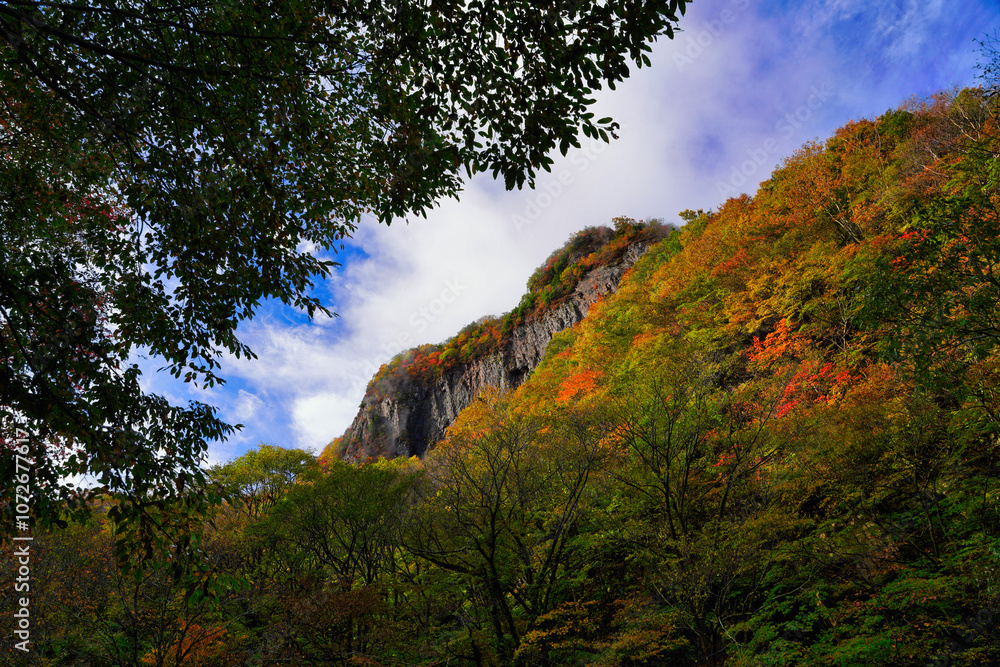 青空と紅葉が広がる秋の自然風景