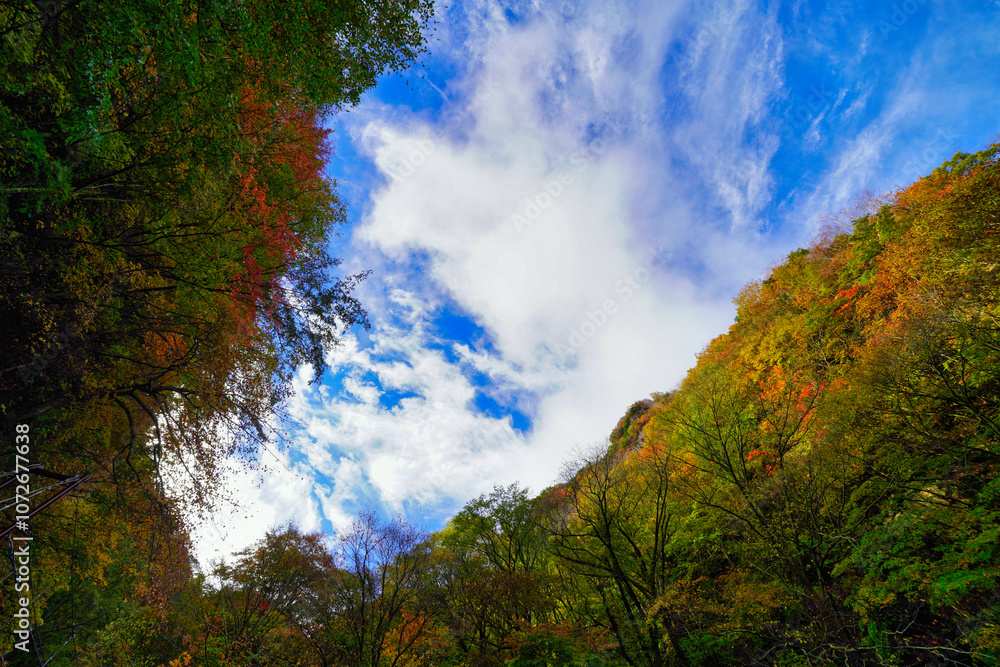 青空と紅葉が広がる秋の自然風景