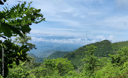 Mountains with many trees with white clouds photo