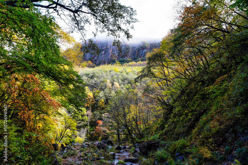 霧がかかる秋の谷と紅葉風景